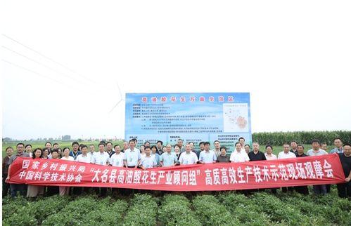 大名县后营村新闻头条,揭秘大名县后营村最新发展动态