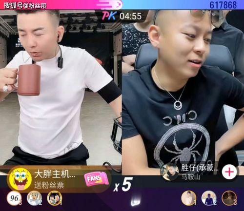 胜仔二哥爆料视频播放全集,事件真相与幕后故事