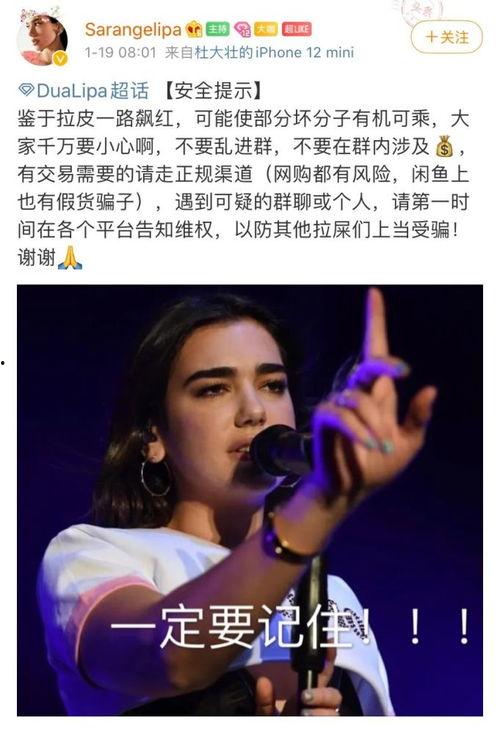 明星后援站,粉丝力量的集结与闪耀