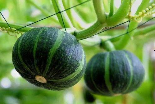 kpop最近吃瓜,揭秘明星们的幕后故事与争议瞬间