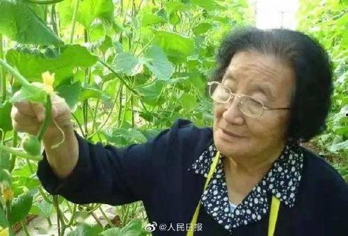 娱乐吃瓜酱广东人辣度